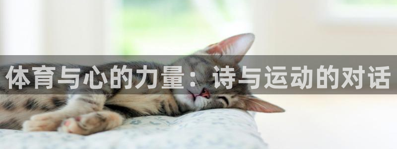 乐球体育的赛事直播