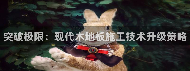 乐球体育火箭对爵士录像：突破极限：现代木地板施工技术升级策略