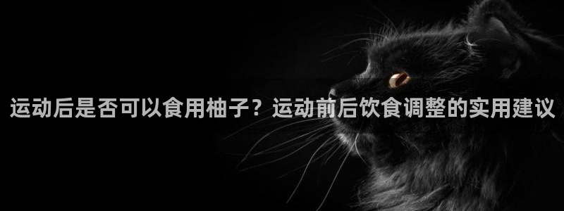 乐球体育d罗直播间