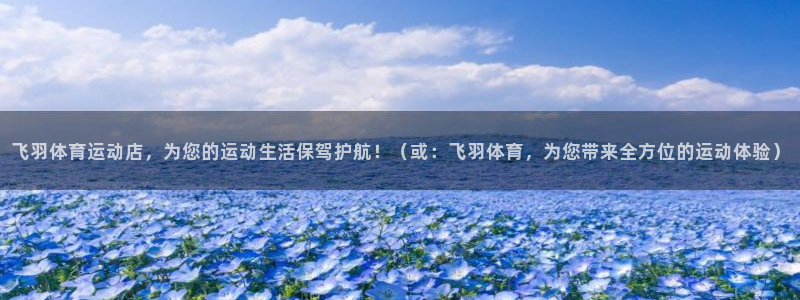 乐球体育：飞羽体育运动店，为您的运动生活保驾护航！（或：飞羽体育，为您带来全方位的运动体验）