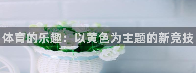 关键词：体育的乐趣：以黄色为主题的新竞技