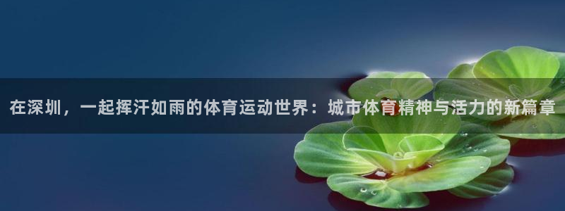 乐球体育火箭对爵士录像