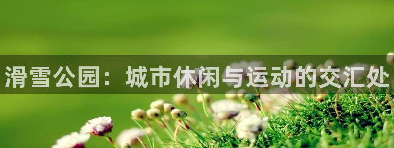 乐球体育录像回放
