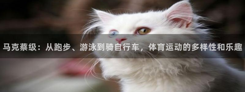 乐球体育NBA
