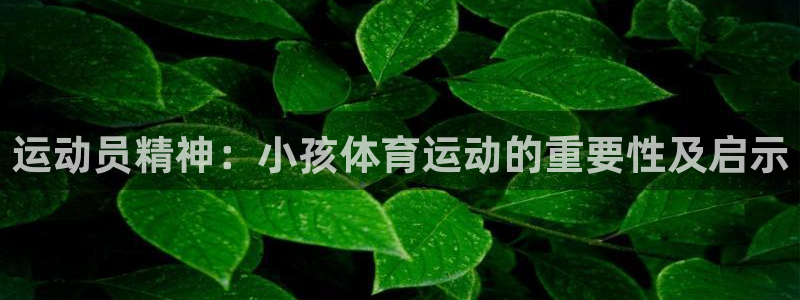 乐球体育官网：运动员精神：小孩体育运动的重要性及启示