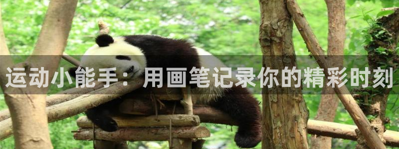 乐球体育直播app