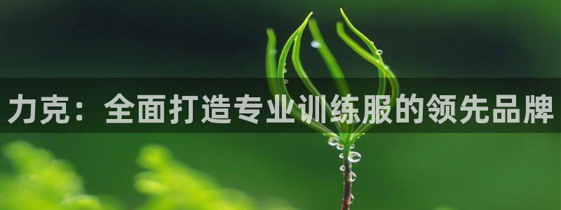 乐球体育无插件