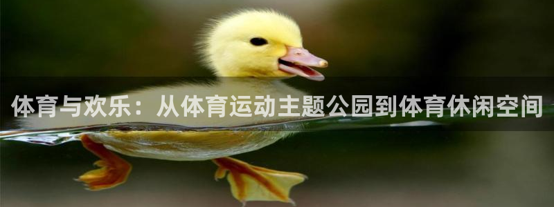 乐球体育nba直播在线观看：体育与欢乐：从体育运动主题公园到体育休闲空间